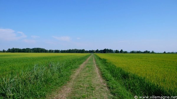 Plaine du Pô entre Valeggio et Sanazzaro Plaine du Pô entre Valeggio et Sanazzaro