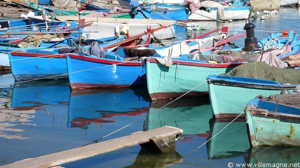 Port de Trani Port de Trani