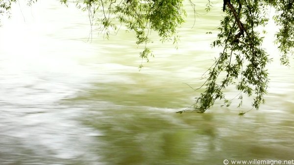 Rivière Reuss, près d’Oberrüti Rivière Reuss, près d’Oberrüti