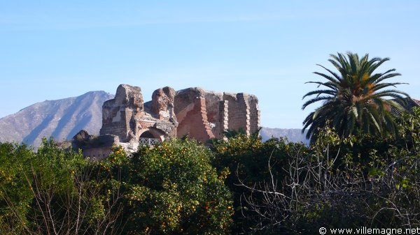 Ruines du cirque de Capoue. C’est d’ici qu’est partie la révolte des esclaves menée par Spartacus en 73 avant J.-C. Ruines du cirque de Capoue. C’est d’ici qu’est partie la révolte des esclaves menée par Spartacus en 73 avant J.-C.