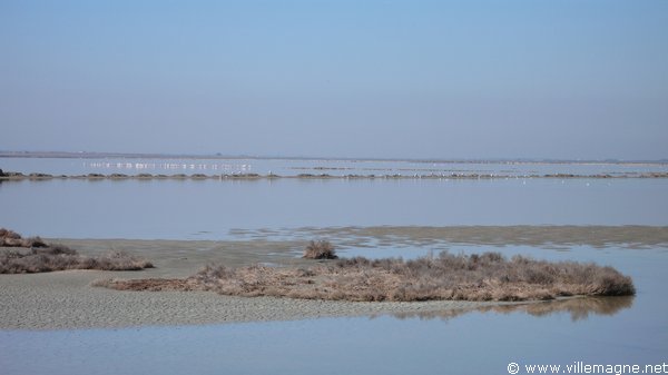 Salines de Margherita di Savoia Salines de Margherita di Savoia