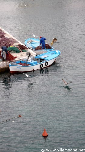 Sur les quais du port de Gallipoli Sur les quais du port de Gallipoli