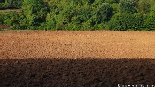 Terre de Sienne Terre de Sienne