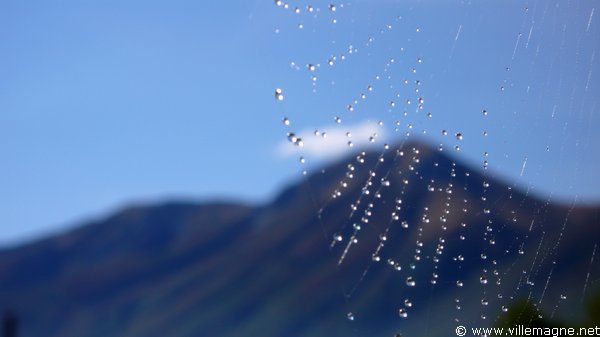 Toile d’araignée matinale - Entre Leonessa et Posta