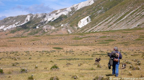 Troupeau sur le Campo Imperatore Troupeau sur le Campo Imperatore