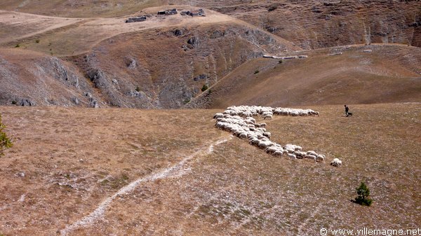 Troupeau sur le <em>Campo Imperatore</em>. <br /><br />Ce haut plateau constitua durant des siècles le pâturage d’été des troupeaux de moutons venant des Pouilles, de Campanie et du Latium Troupeau sur le <em>Campo Imperatore</em>. <br /><br />Ce haut plateau constitua durant des siècles le pâturage d’été des troupeaux de moutons venant des Pouilles, de Campanie et du Latium