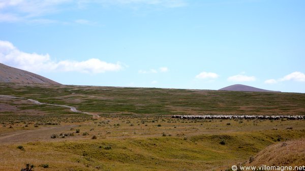 Troupeau sur le ‘Campo Imperatore’. Ce haut plateau constitua durant des siècles le pâturage d’été des troupeaux de moutons venant des Pouilles, de Campanie et du Latium Troupeau sur le ‘Campo Imperatore’. Ce haut plateau constitua durant des siècles le pâturage d’été des troupeaux de moutons venant des Pouilles, de Campanie et du Latium