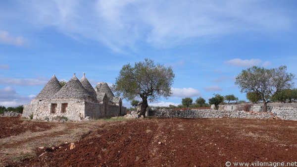Trulli dans la région de Noci et Alberobello Trulli dans la région de Noci et Alberobello