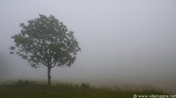 Weissenstein Weissenstein