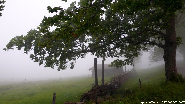 Weissenstein Weissenstein