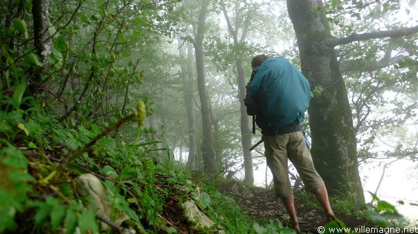 Weissenstein Weissenstein