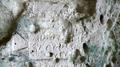 Inscriptions et graffiti de marins grecs des IIIe et IVe siècles dans une grotte à Leuca Inscriptions et graffiti de marins grecs des IIIe et IVe siècles dans une grotte à Leuca