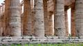 Le temple de Neptune à Paestum Le temple de Neptune à Paestum