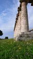 Temple de Cérès à Paestum Temple de Cérès à Paestum