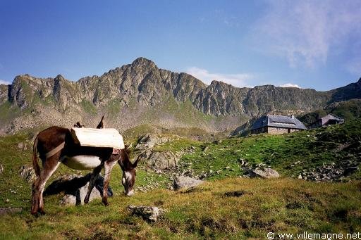 Carpates - refuge de Podragu dans le massif des Făgăraş - Roumanie Carpates - refuge de Podragu dans le massif des Făgăraş - Roumanie