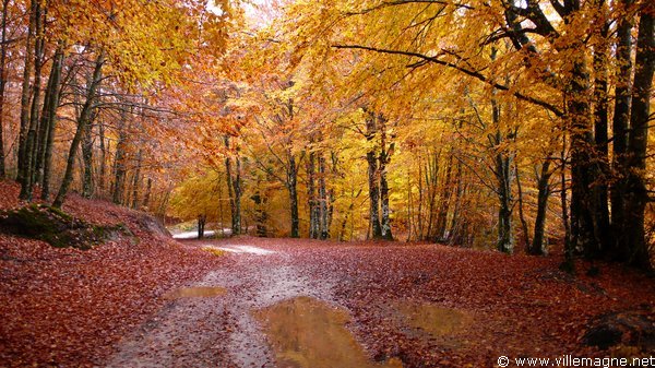 Parc national du Cilento - Entre Paderno et Padula Parc national du Cilento - Entre Paderno et Padula